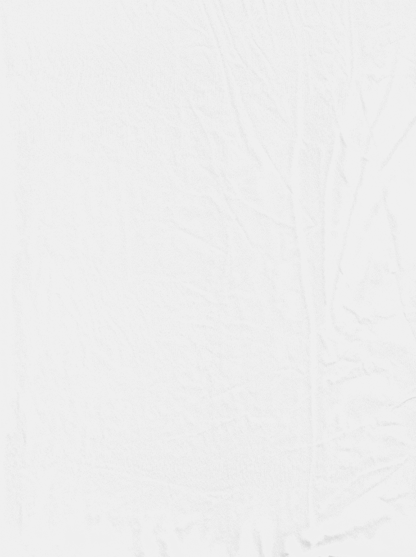 silk-scan